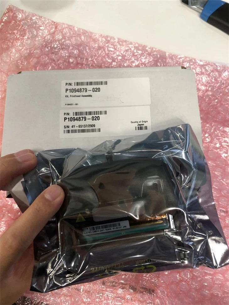 Zebra ZC{0}}dpi P1094879-020 prindipea